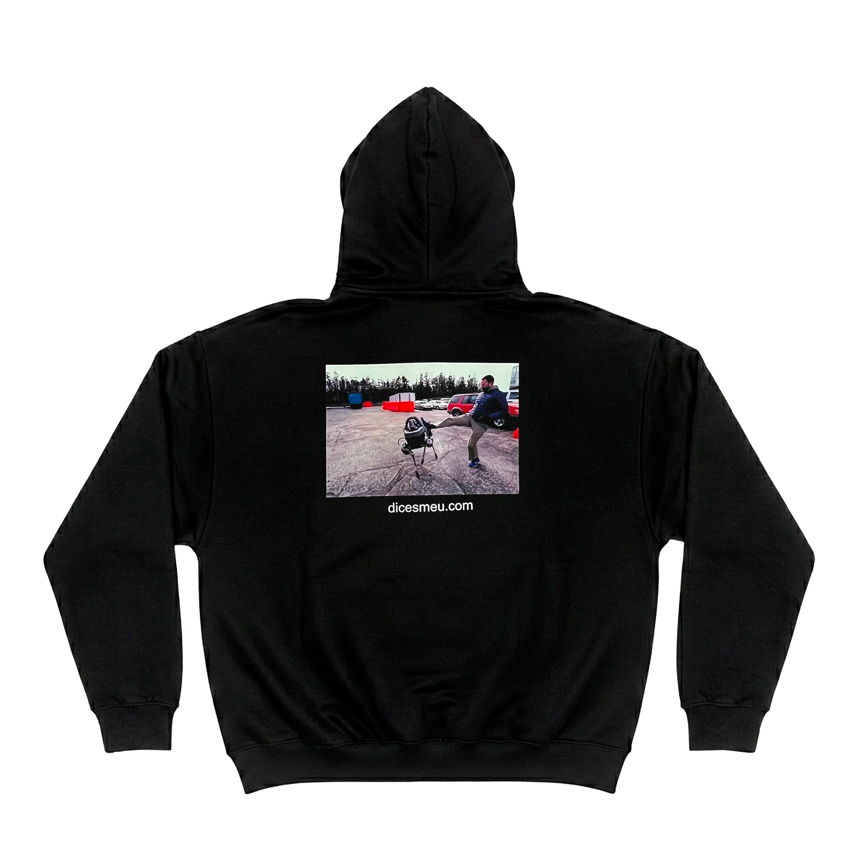 yo la voy a sustituir